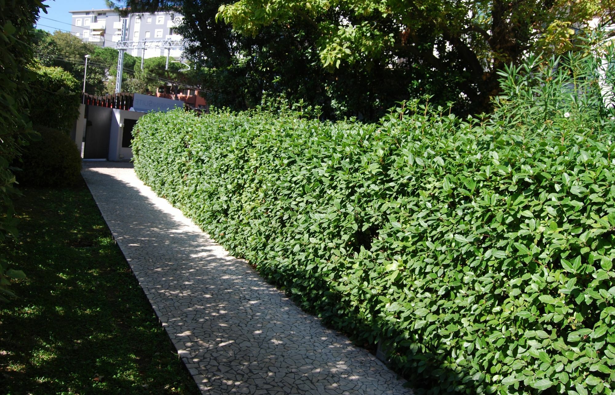 Ceccarini Suite Riccione Ngoại thất bức ảnh