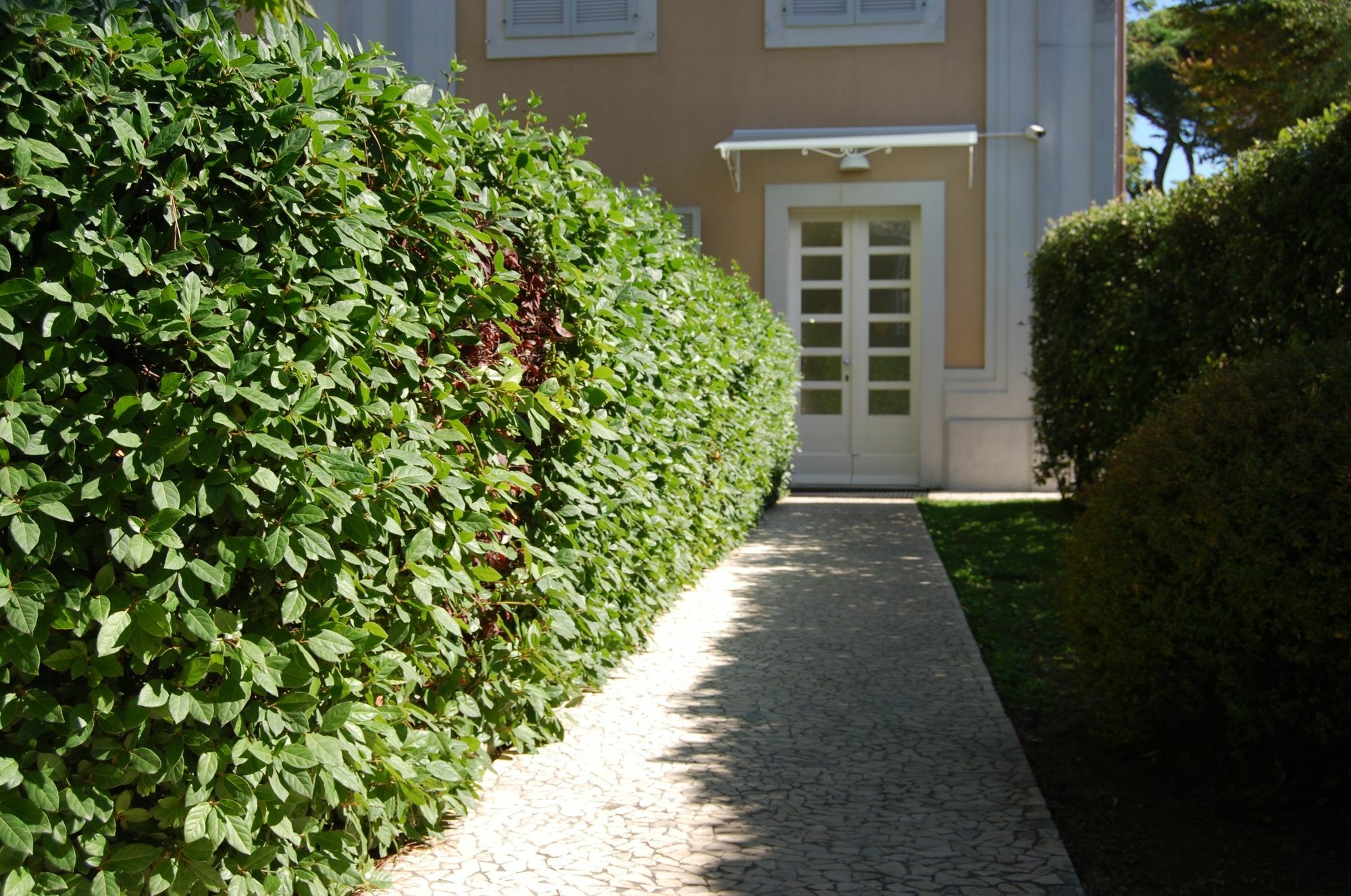 Ceccarini Suite Riccione Ngoại thất bức ảnh